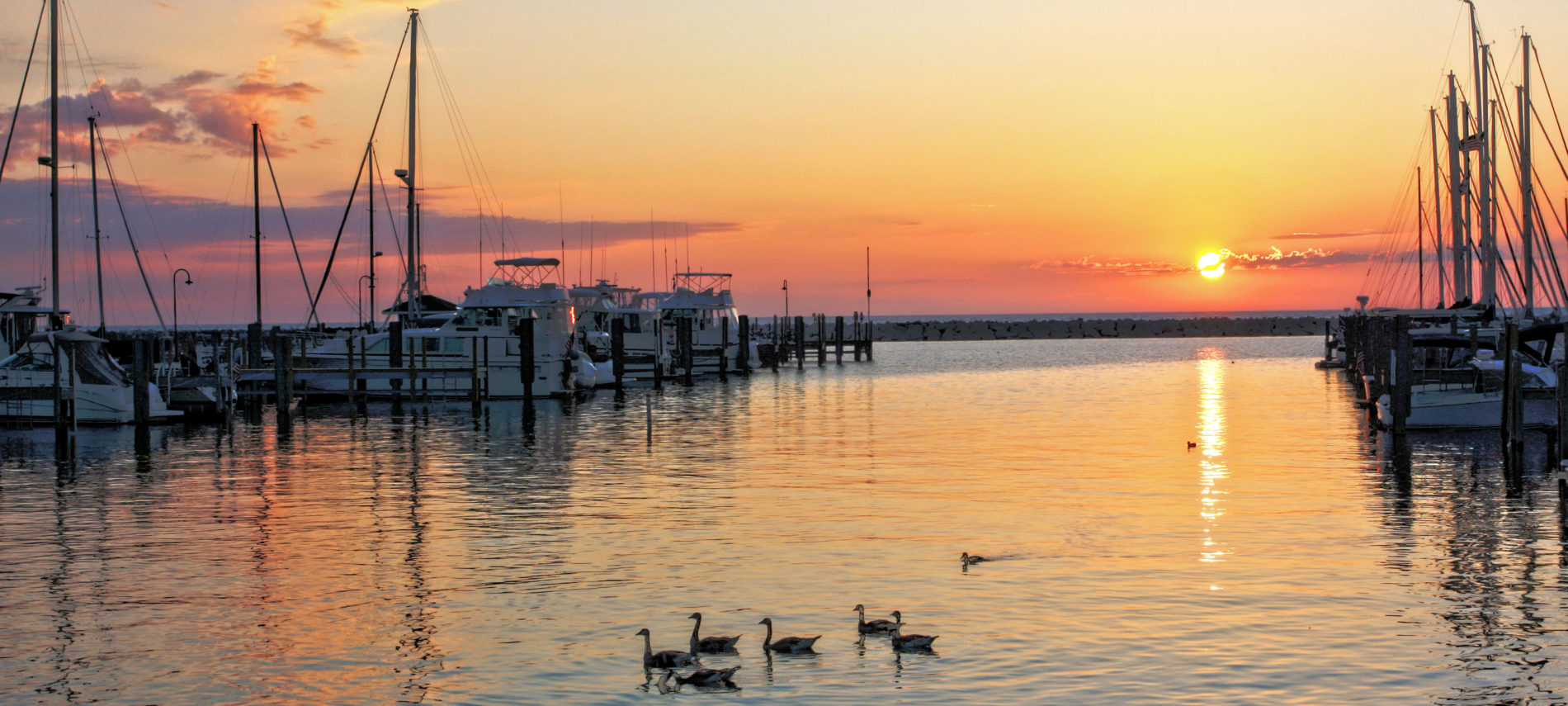 Summer 2020 Reimagined